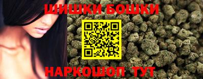гидра Кингисепп