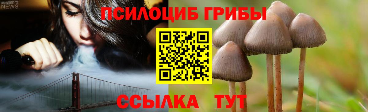 Звенигород  Псилоцибиновые грибы GOLDEN TEACHER  Псилоцибиновые грибы мухоморы  Вход с VPN 